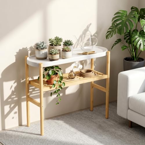 Wisuce Bamboo Shelf Indoor, 2 Tier Window Tall Stand Table for Multiple Plants…