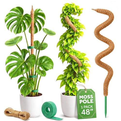 K-Brands 48'' Bendable Moss Pole Monstera Plant Support - Coconut Palm Fiber - Brown - Rectangular - Climbing Plant Support Structure - size: 1-Pack (48 in)