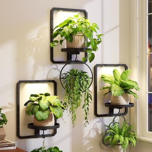 iDavosic.ly Wall Plant Picture Frame Holder Set of 3 with 3 Grow Light for Indoor, Metal Stand with Hanging Hooks, Space Saving Floating Flower Display Decor (Pots/Chains/Plants Not Included) - color: Black with 3 Lights, size: Rectangular