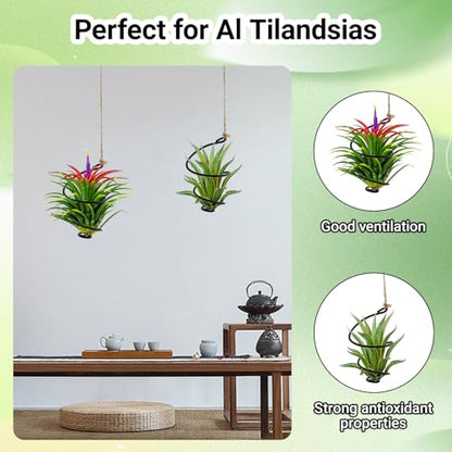 12-Pack Hanging Air Plant Holders,6 Air Plant Stand Display 6 Ropes | 6 Adjustable Rust-Resistant Iron Rings, with Low-Tangle Jute Ropes for Tillandsia, Succulents, Home & Office Decor