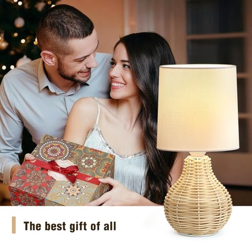 EJIAXIN Rattan Table Lamp Boho Lamps Set of 2-12.5" Mini Farmhouse Wicker Light Rustic End Table Decorative Small Lamps for Small Spaces Bedroom Nightstand Living Room Reading Desk Side Table Lamp - style: Country