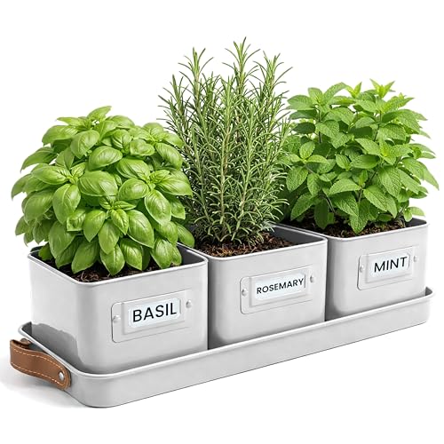volila Herb Planter Indoor - Set of 3 Warmstone Indoor Herb Garden Pots for Plants with Leather Handled Tray - Window Sill Plant Shelf - Herb Pots with Drainage Holes and Labels - color: Warmstone