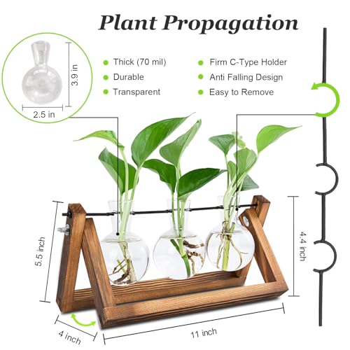 Renmxj Plant Propagation Station, Plant Terrarium with Wooden Stand | Unique Gardening Birthday Gifts for Women Plants Lovers, Home Office Garden Decor Planter - 3 Bulb Glass Vases - size: 3 Bulb Vase
