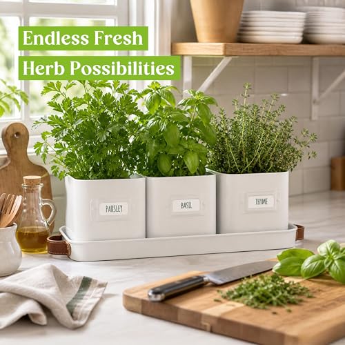 volila Herb Planter Indoor - Set of 3 Warmstone Indoor Herb Garden Pots for Plants with Leather Handled Tray - Window Sill Plant Shelf - Herb Pots with Drainage Holes and Labels - color: Warmstone