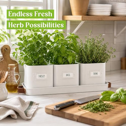 volila Herb Planter Indoor - Set of 3 Warmstone Indoor Herb Garden Pots for Plants with Leather Handled Tray - Window Sill Plant Shelf - Herb Pots with Drainage Holes and Labels - color: Warmstone