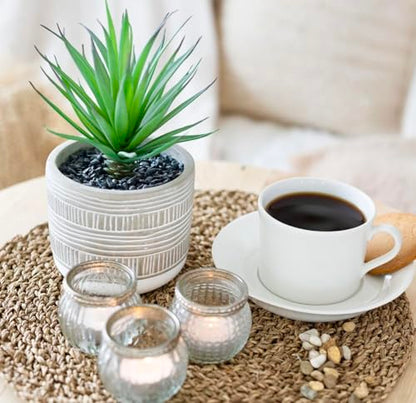 Kurrajong Farmhouse Artificial Plant | 8" Fake Plant for Desk Decor | Artificial Succulent in Pot | Fake Succulent | Faux Plant Indoor | Artificial Greenery for Shelf Decor