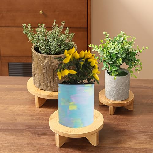Short Round Wooden Plant Stand Indoor Desktop Flower Pedestal Stand Wood Decor Risers for Small Plants Display(4.5 Inch)
