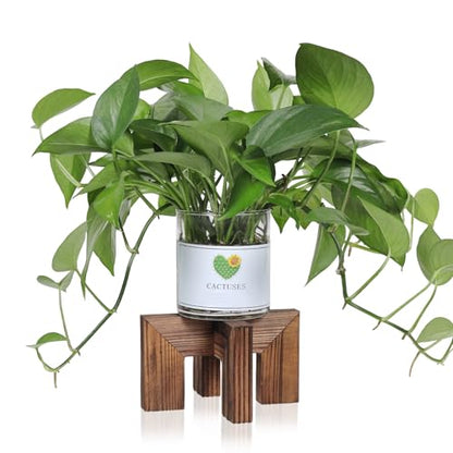 Vigordream Plant Stand, Indoor/Outdoor Wood Plant Holder, Flower Pot Stand | Sturdy Planter Stands, Mid Century Modern Single Plant Riser, Wooden Floor Flower Stand