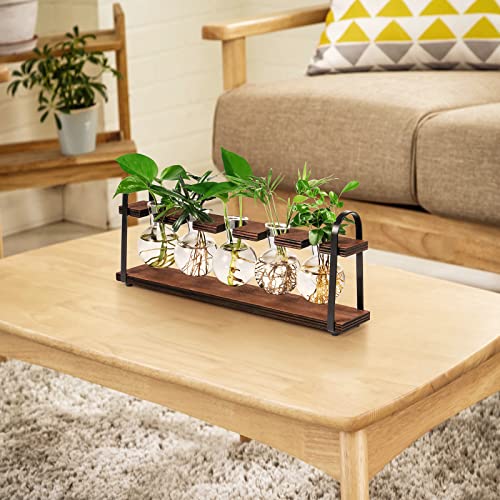 THYGIFTREE Plant Propagation Stations with Wooden Stand | Desktop Retro Plant Terrarium, Bulb Vase for Indoor Hydroponic Flowers, Tabletop Glass Planter - color: Dark Brown