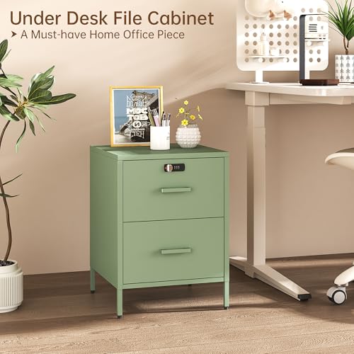 Steehoom Metal Nightstand with Lock, 2 Drawer End Side Table, Lockable Storage Cabinet Kids Cabinet for Living Room, Bedroom, Dorm, 21.26”H X 15.75”W X 15.75”D (2 Drawer, Green) - color: Green, style: 2 Drawer