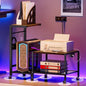 RALGEND Printer Stand with Computer Tower Stand, 2-in-1 Mobile Printer Table Under Desk PC Shelf, 2-Tier PC Tower Stand for Floor, Detachable CPU Holder Cart with Charging Station & Lockable Wheels