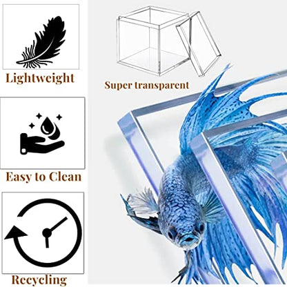 KissYou Acrylic Box Clear Boxes with Lids 2 Packs Display Case Party Decoration Plastic Square Cube Candy Boxes - size: 4.72 x 4.72 x 4.72 Inch