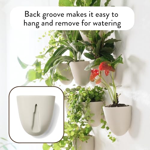 Make Good PlantPod Luxe - Self-Watering Wall Planters (Set of 6, Stone) - Easy to Water and Install - Lightweight - Design Your Own Vertical Garden - Wall Planters for Indoor Plants - color: Stone