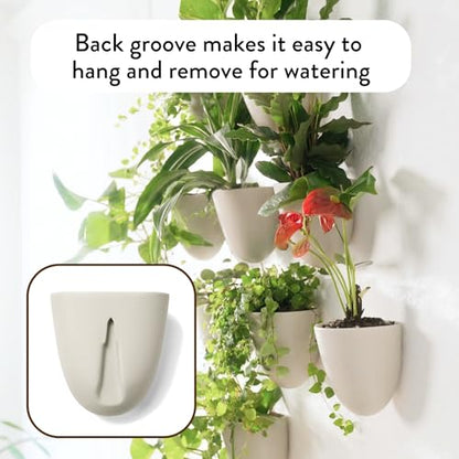 Make Good PlantPod Luxe - Self-Watering Wall Planters (Set of 6, Stone) - Easy to Water and Install - Lightweight - Design Your Own Vertical Garden - Wall Planters for Indoor Plants - color: Stone