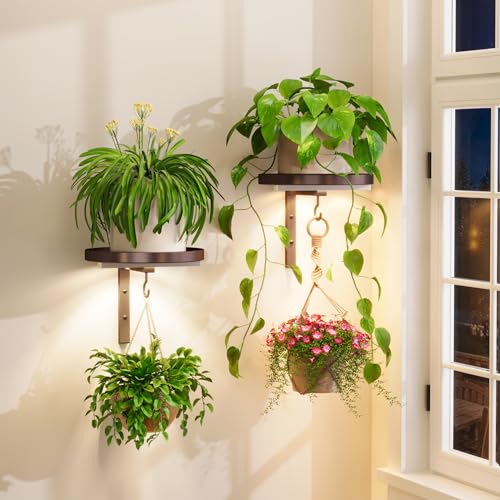 iDavosic.ly Plant Wall Hanger with Grow Lights Set of 2 for Indoor, Bronze | Metal Floating Flower Display Holder Stand for Window with 2 Hooks, Space Saving, Easy to Assemble (Pots/Chains Not Included) - color: Bronze with Lights, size: 2 Pack