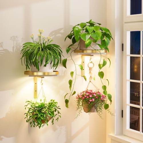 iDavosic.ly Plant Wall Hanger with Grow Lights Set of 2 for Indoor, Gold | Metal Floating Flower Display Holder Stand for Window with 2 Hooks, Space Saving, Easy to Assemble (Pots/Chains Not Included) - color: Gold with Lights, size: 2 Pack