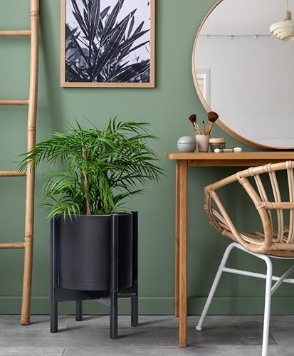 D'vine Dev Plastic Pot with Ebony Wood Stand, Black, 10 in, 55-C-N-2 | Mid-Century Inspired Design, Elevated Plant Display, Clean Lines, Sturdy Support, Modern Space-Saving Style - color: Matte Black Pot + Ebony Stand, size: 10 Inch