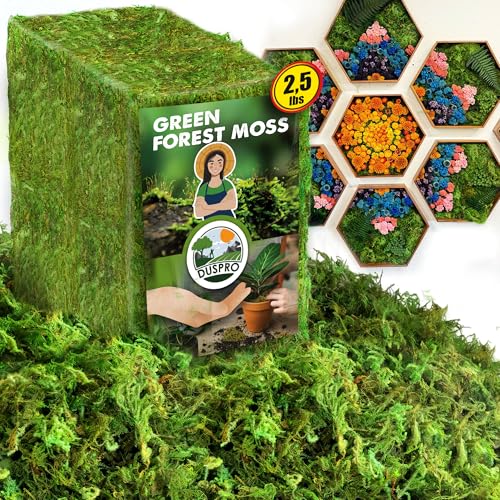 Duspro Green Forest Moss for Crafts, Real Dried Decorative Moss for Indoor Planter Soil Cover, Table Centerpieces, Wedding, Easter & Christmas Decor, DIY Projects, 2.5 Lbs - color: 2.5 Lbs