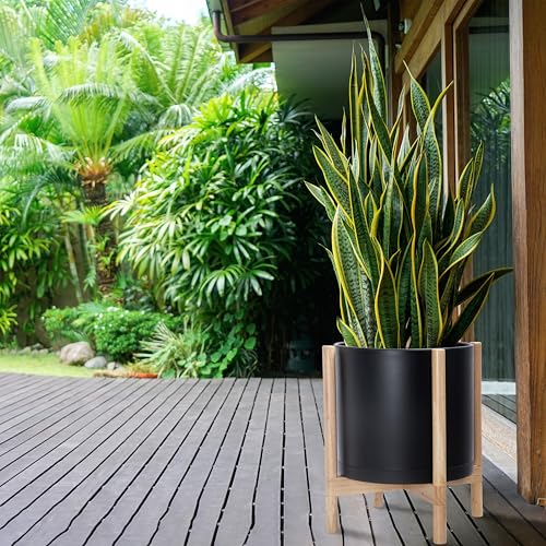 D'vine Dev Plastic Pot with Natural Wood Stand, Black, 14 in, 55-C-S-2 | Mid-Century Inspired Design, Elevated Plant Display, Clean Lines, Sturdy Support, Modern Space-Saving Style - color: Matte Black Pot + Natural Stand, size: 14 Inch