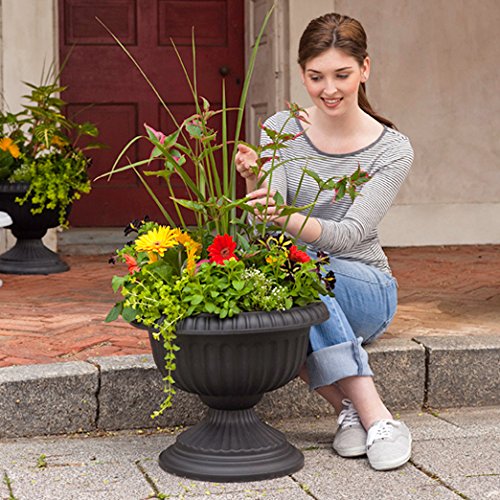 Root & Vessel, 39188.03, Grecian Urn Planter, 18-Inch, Black - color: Black, size: 18-Inch