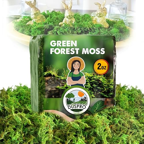 DUSPRO Green Forest Moss for Crafts, Real Dried Decorative Moss for Indoor Planter Soil Cover, Table Centerpieces, Wedding, Easter & Christmas Decor, DIY Projects, 2 oz - color: 2 Oz