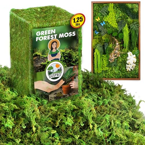 DUSPRO Green Forest Moss for Crafts, Real Dried Decorative Moss for Indoor Planter Soil Cover, Table Centerpieces, Wedding, Easter & Christmas Decor, DIY Projects, 1.25 Lbs - color: 1.25 Lbs