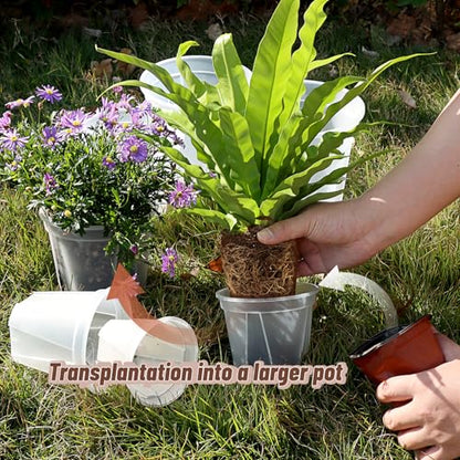 Clear Nursery Pots with Drainage, 10 Pack Transparent Plastic Orchid Planters, 6 Sizes Plant Pots 9.5/8.5/7/6/4.7/4 Inch with 10 Plant Labels for Seedlings, Succulents, Indoor/Outdoor Repotting - size: MIX-6 Sizes