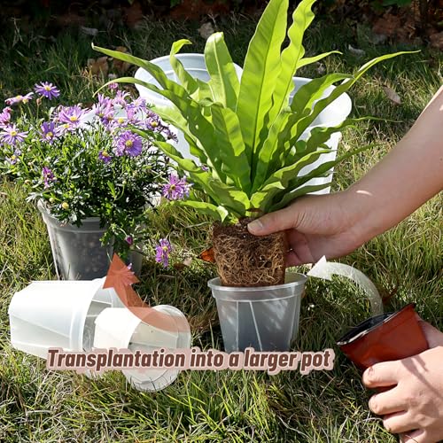 10.6 Inch Large Clear Nursery Pots with Drainage Holes, 2.7 Gal 10 Pack Transparent Plastic Plant Pots, Ideal for Orchids, Seedlings, Repotting & Observing Root Growth & Soil Moisture - size: 10 inch