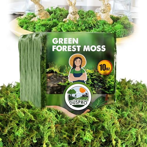 DUSPRO Green Forest Moss for Crafts, Real Dried Decorative Moss for Indoor Planter Soil Cover, Table Centerpieces, Wedding, Easter & Christmas Decor, DIY Projects, 10 oz - color: 10 Oz