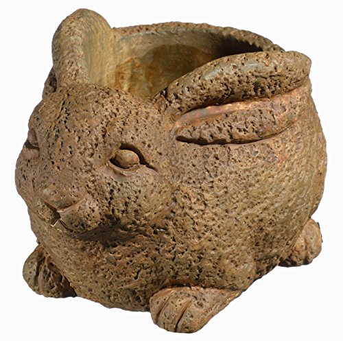 GROWSCAPE Cement Buddies Animal Planter - Cute Desk Decoration - UV Coated Animal Vase w/ Drain Plug -Succulent Plant Pot for Indoor/Outdoor Use (Rabbit Planter, Rust, Small) - color: Rust, size: Small, style: Cottage