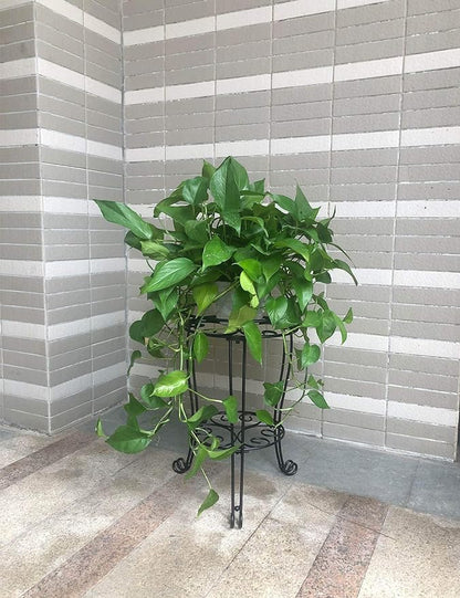 TREEZITEK 11.8 inches Diameter Tall Metal Plant Stand for Indoor or Outdoor,Heavy Duty Flower Pot Stand Rack Holds Big Heavy Plants,Black (18.9 INCHES TALL) - size: 18.9 INCHES TALL