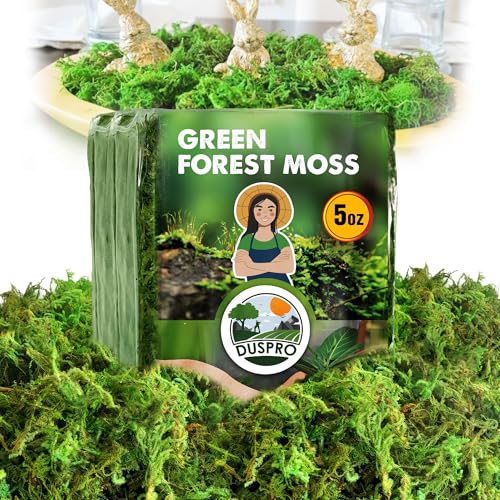 DUSPRO Green Forest Moss for Crafts, Real Dried Decorative Moss for Indoor Planter Soil Cover, Table Centerpieces, Wedding, Easter & Christmas Decor, DIY Projects, 5 oz - color: 5 Oz